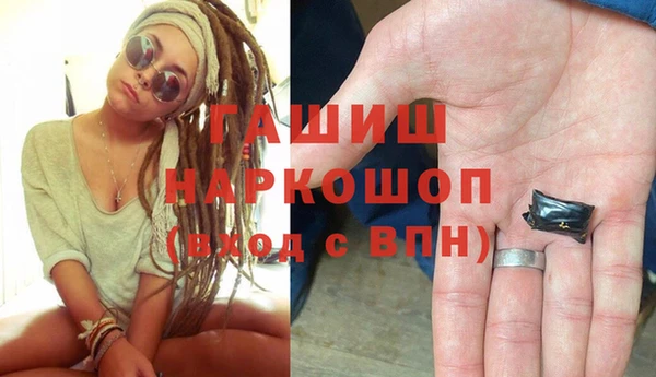 крисы Сатка